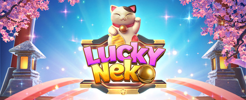 
The Maneki-neko is considered a lucky figurine to the Japanese, so why not get lucky playing this new pokie!


