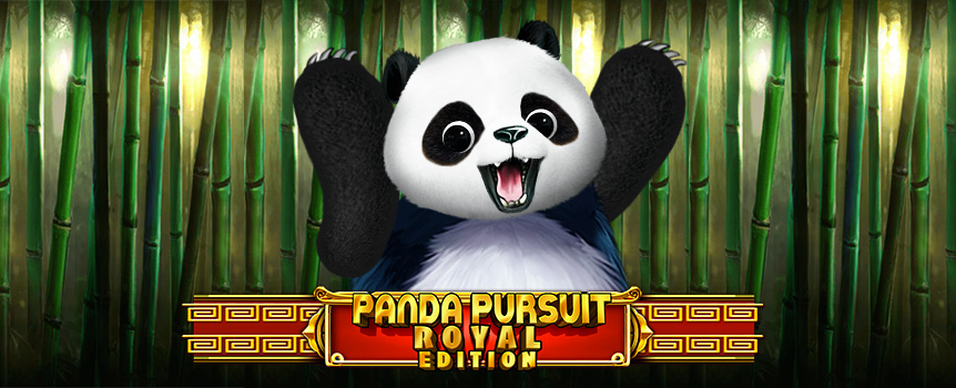 Get extra panda pokie action with Panda Pursuit Royal Edition at Joe Fortune.