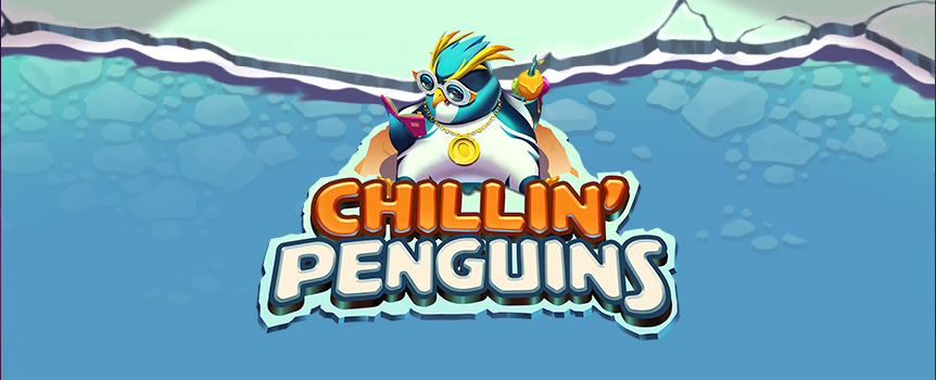 These penguins know how to chill and make you money!