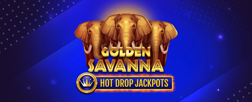 Play Golden Savanna Hot Drop Jackpots today. This 4 Row, 6 Reel, 4,096 Payline pokie offers Prizes up to 3,125x your stake and 3 different Jackpots!