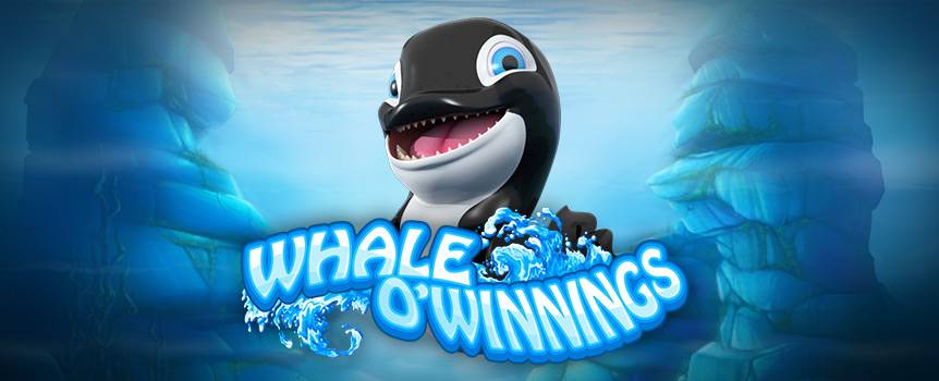 Look out, all you sea-farers. The whale of whales, the one and only Whale O' Winnings, and his fishy friends are diving into all kinds of deep sea shenanigans in this watery 5-reel slot game. Get your aquatic gear ready because you’re about to join this deep sea party with your favorite (and adorable) killer whale. You’re about to be taken on a tour of Whale O’ Winnings’ home at the bottom of the ocean, where you will encounter all kinds of sea flora and fauna, including a clam, a sea urchin, a sand dollar and a life preserver. While you’re down there, you’ll also be introduced to a spirited sea lion and a friendly dolphin, but try not to get too distracted by this sea-worthy social because there’s a chance you might find winnings and cash if you keep your eyes open and your goggles polished.