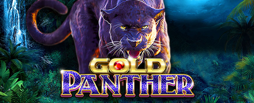 Free Spins, Multipliers, Cascading Reels, and a huge 200,704 Paylines! Play Gold Panther Maxways today.